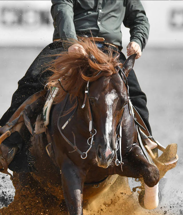 radicallyactiveSportsEquestrian