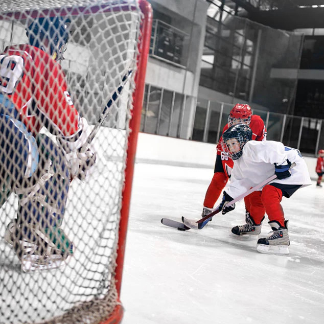 hockey-panel-1_1600x